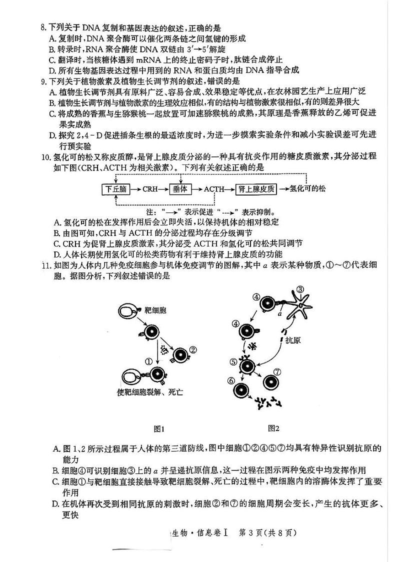 河北省邯郸市部分学校2024-2025学年高三上学期1月期末生物试题第3页
