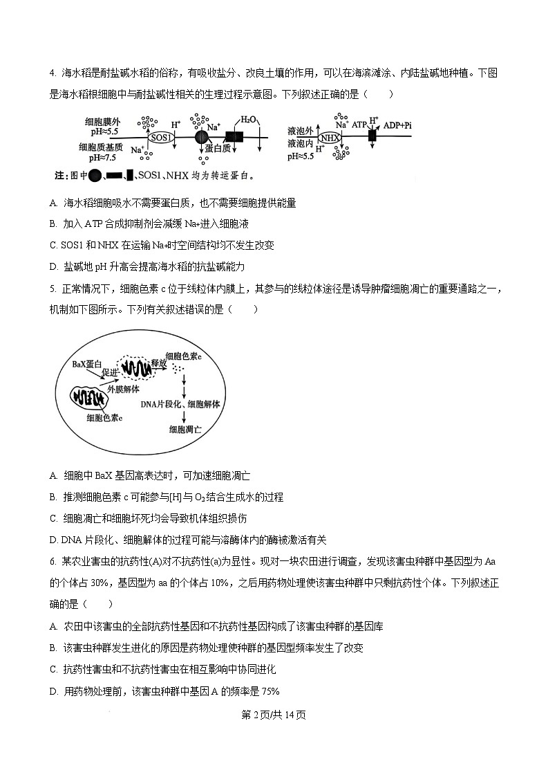 河北省邯郸市部分学校2024-2025学年高三上学期1月期末生物试题第2页