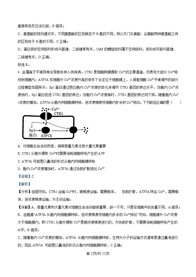 河北省承德市2024-2025学年高三上学期期末考试生物试题  Word版含解析第3页