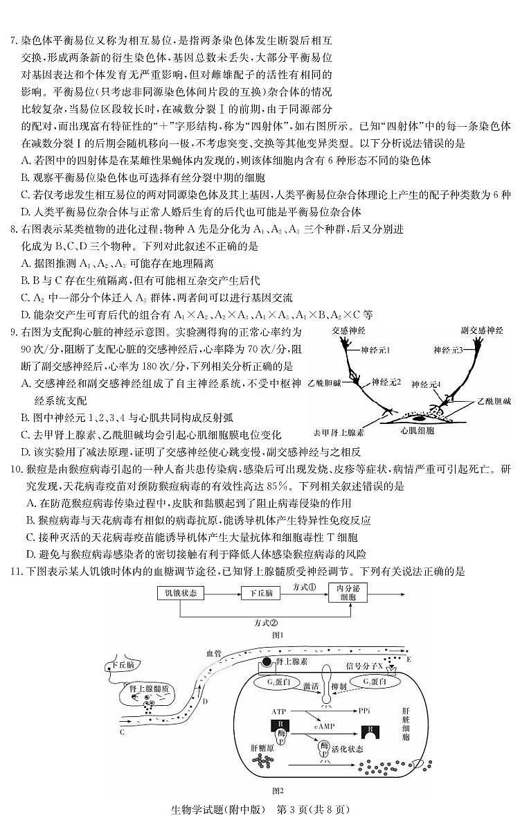 生物丨湖南省长沙市湖南师范大学附属中学2024届高三下学期3月第六次月考生物试卷及答案第3页