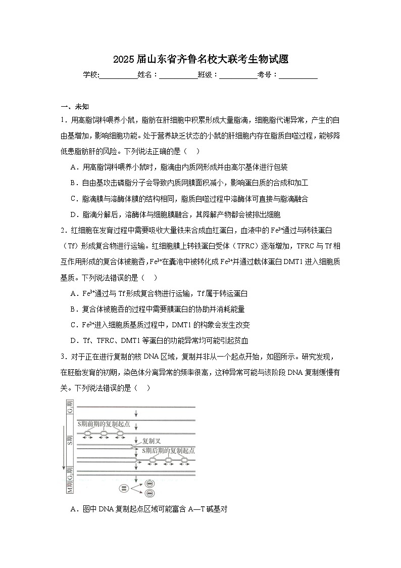 2025届山东省齐鲁名校高三大联考生物试题第1页