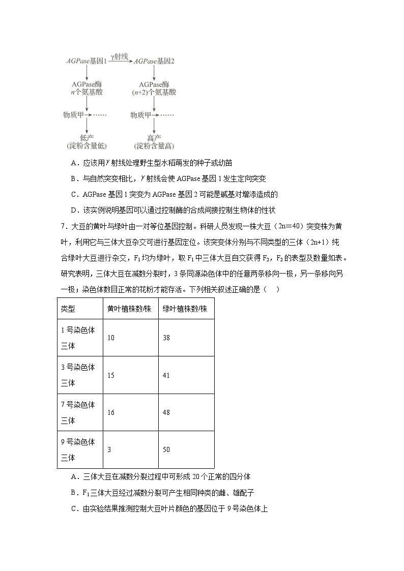2025届山东省齐鲁名校高三大联考生物试题第3页