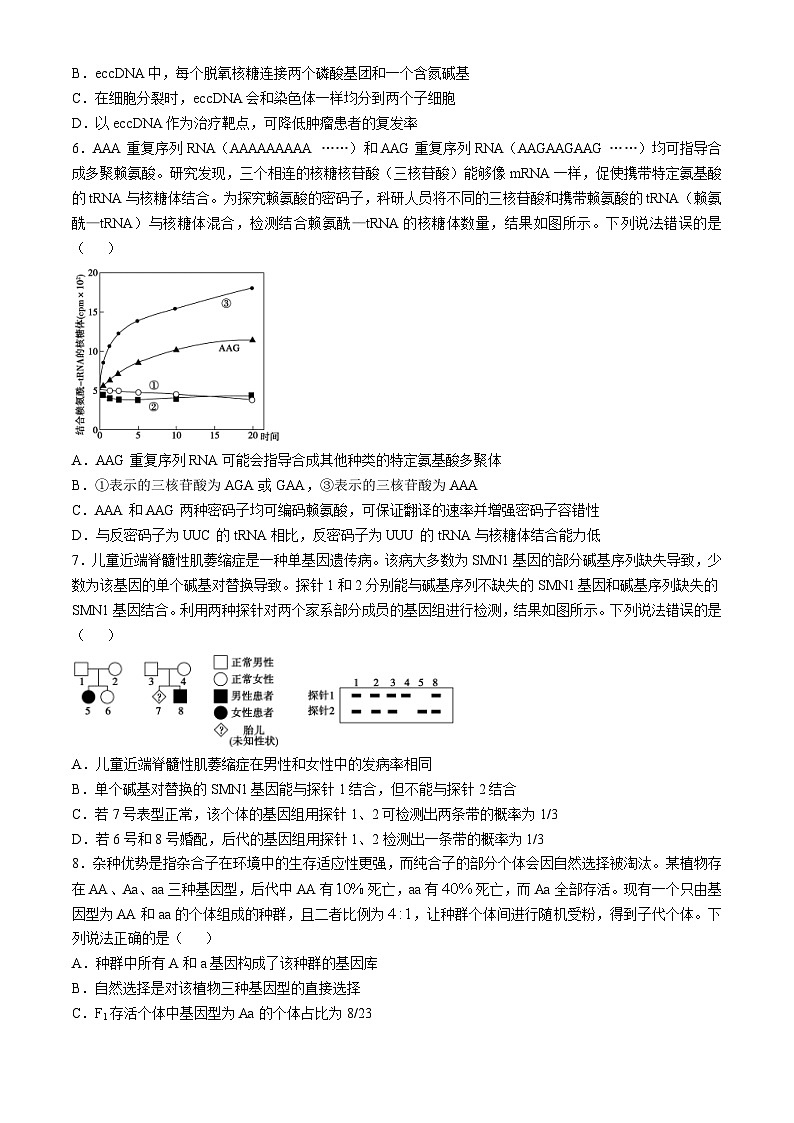 山东省德州市2024-2025高三下学期2月开学考试生物试卷及答案第2页