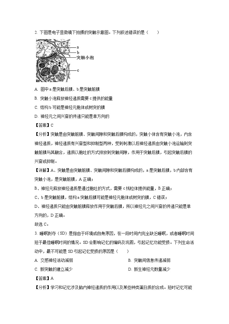 北京市平谷区2024-2025学年高二上学期1月期末考试生物试题（解析版）第2页