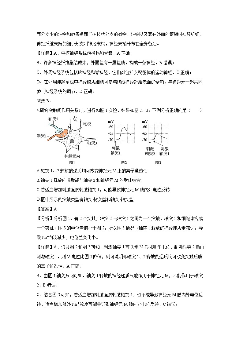 河北省衡水市桃城区桃城区2024-2025学年高二上学期1月期末生物试题（解析版）第3页