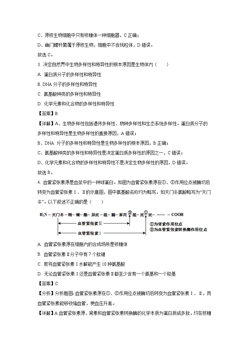 北京市某校2024-2025学年高一上学期11月月考试生物试题（解析版）第2页
