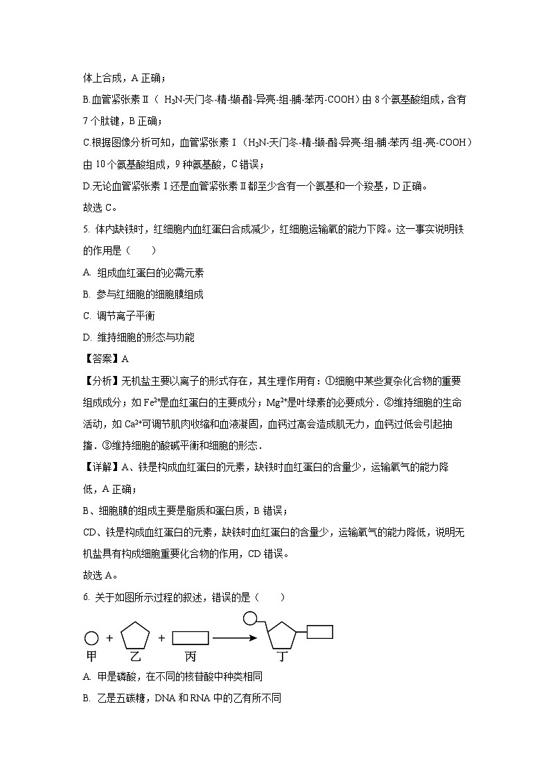 北京市某校2024-2025学年高一上学期11月月考试生物试题（解析版）第3页