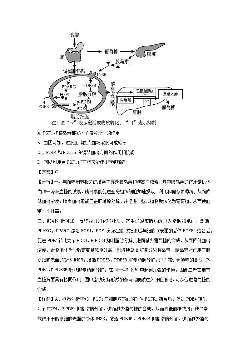 湖南省长沙市宁乡市2024-2025学年高二上学期1月期末生物试题（解析版）第3页
