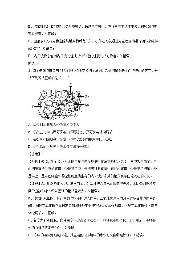 山西省太原某校2024-2025学年高二上学期10月月考生物试题（解析版）第2页