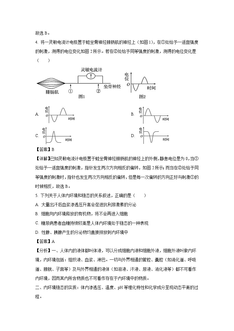 山西省太原某校2024-2025学年高二上学期10月月考生物试题（解析版）第3页