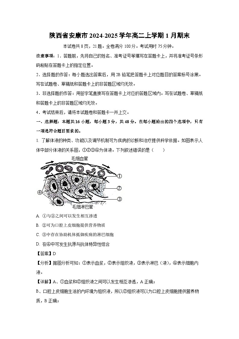 陕西省安康市2024-2025学年高二上学期1月期末生物试题（解析版）第1页