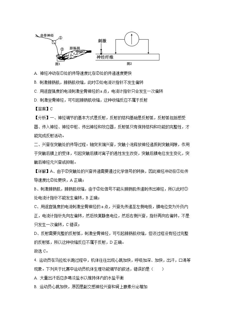 陕西省韩城市2024-2025学年高二上学期期末生物试题（解析版）第3页