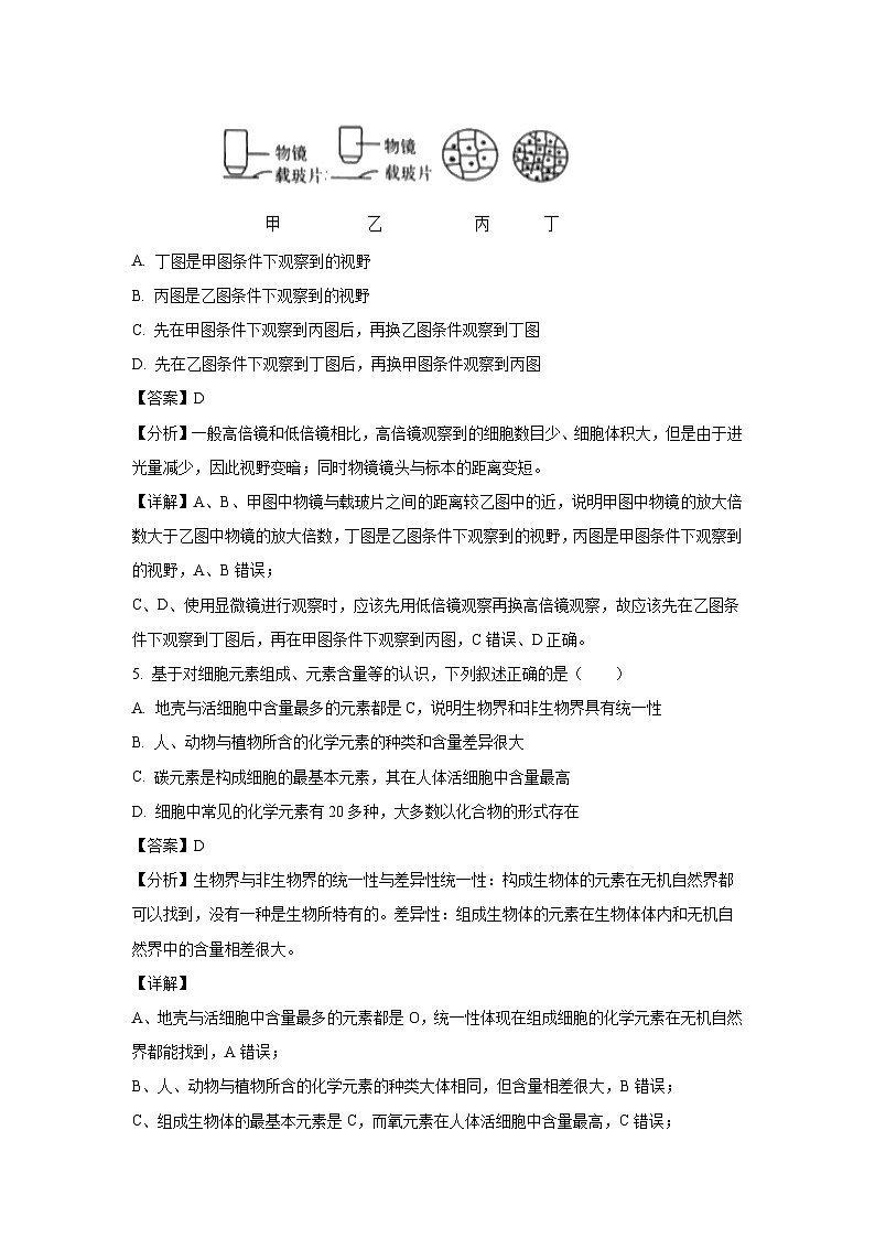 天津市西青区2024-2025学年高一上学期1月期末生物试题（解析版）第3页