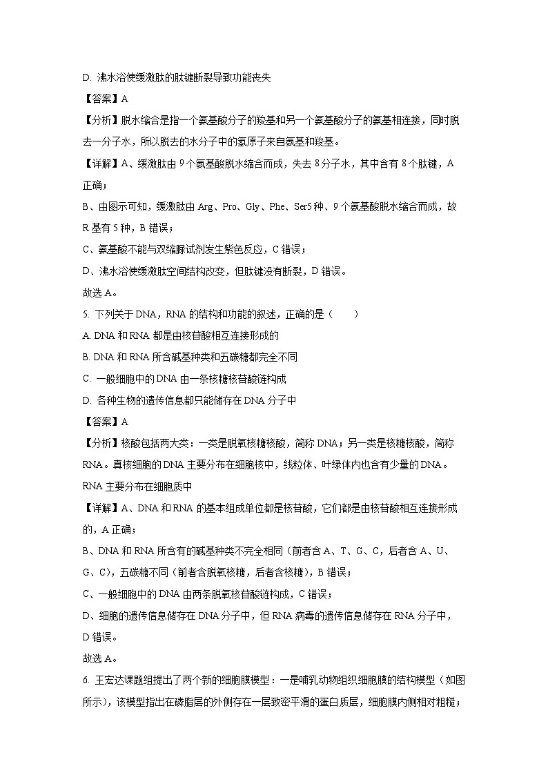河南省开封市五校2024-2025学年高一上学期期中联考生物试题（解析版）第3页