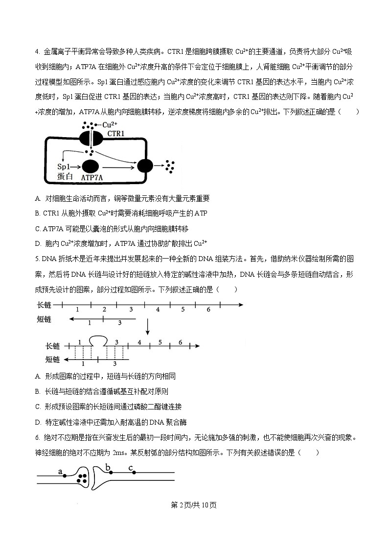 河北省承德市2024-2025学年高三上学期期末考试生物试题无答案第2页