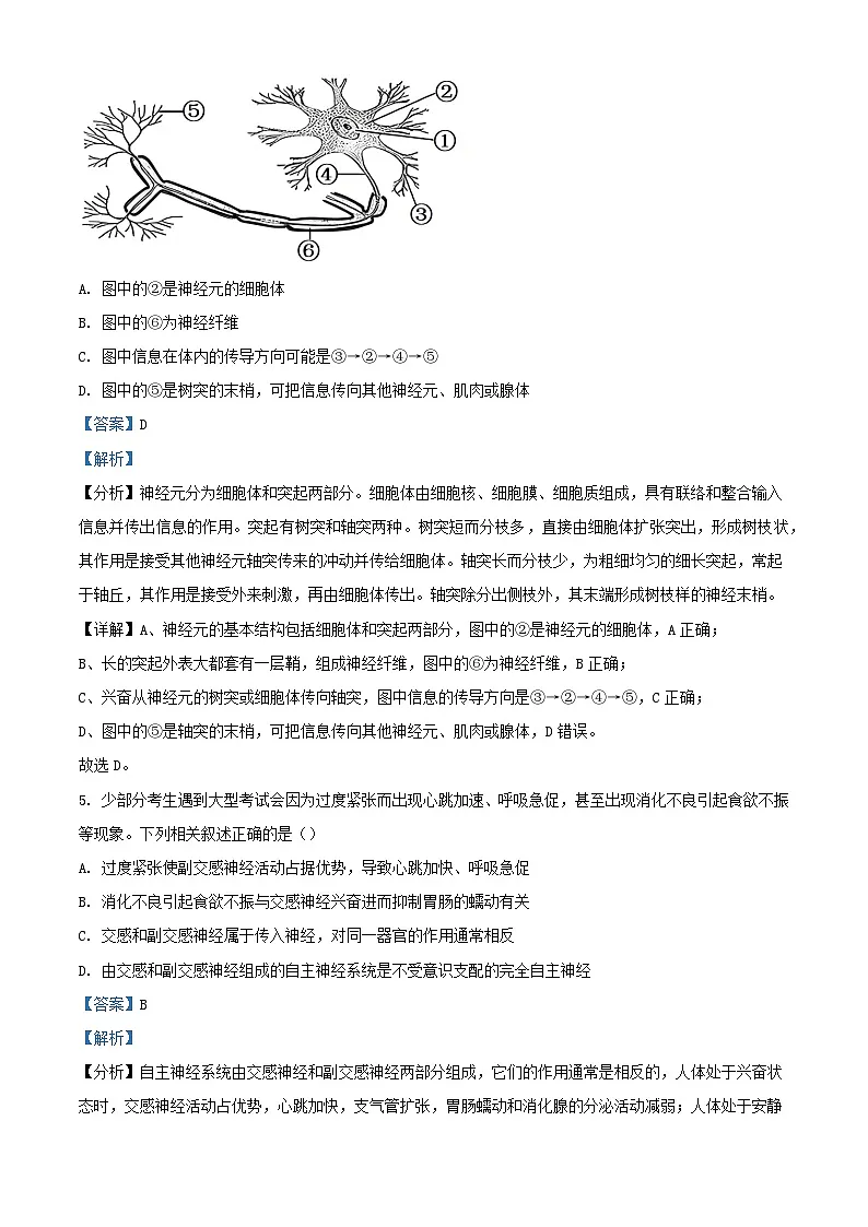 福建省莆田市2023_2024学年高二生物上学期期末试题含解析第3页