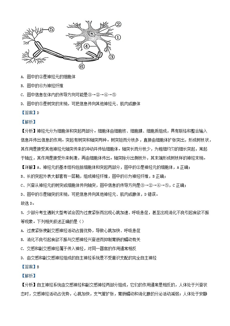 福建省莆田市2023_2024学年高二生物上学期期末试题含解析第3页