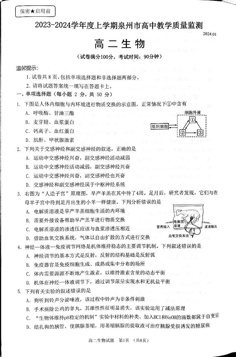 福建省泉州市2023_2024学年高二生物上学期1月期末试题pdf第1页