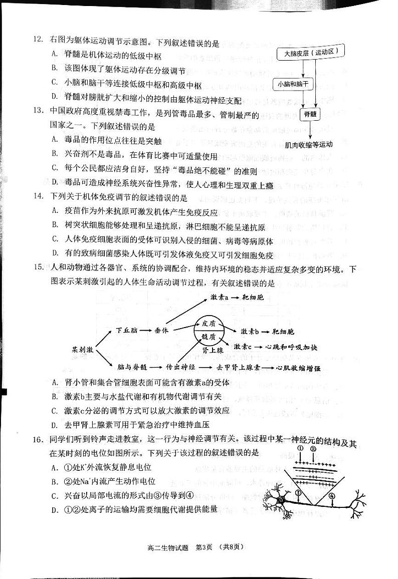 福建省泉州市2023_2024学年高二生物上学期1月期末试题pdf第3页