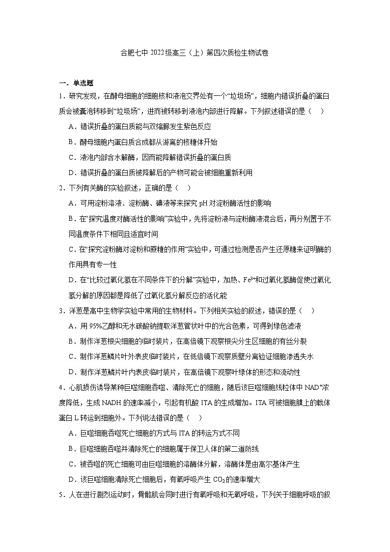 安徽省合肥市七中2024-2025学年高三上学期12月第四次质检 生物试卷（含解析）第1页