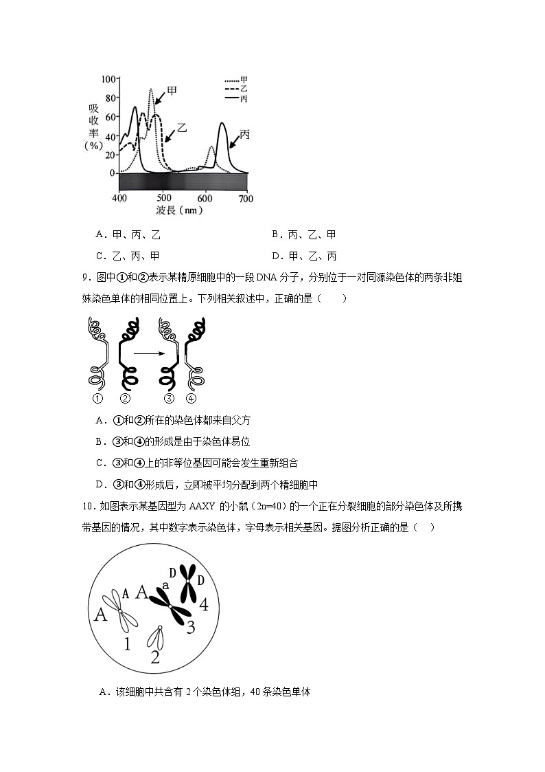 安徽省合肥市七中2024-2025学年高三上学期12月第四次质检 生物试卷（含解析）第3页