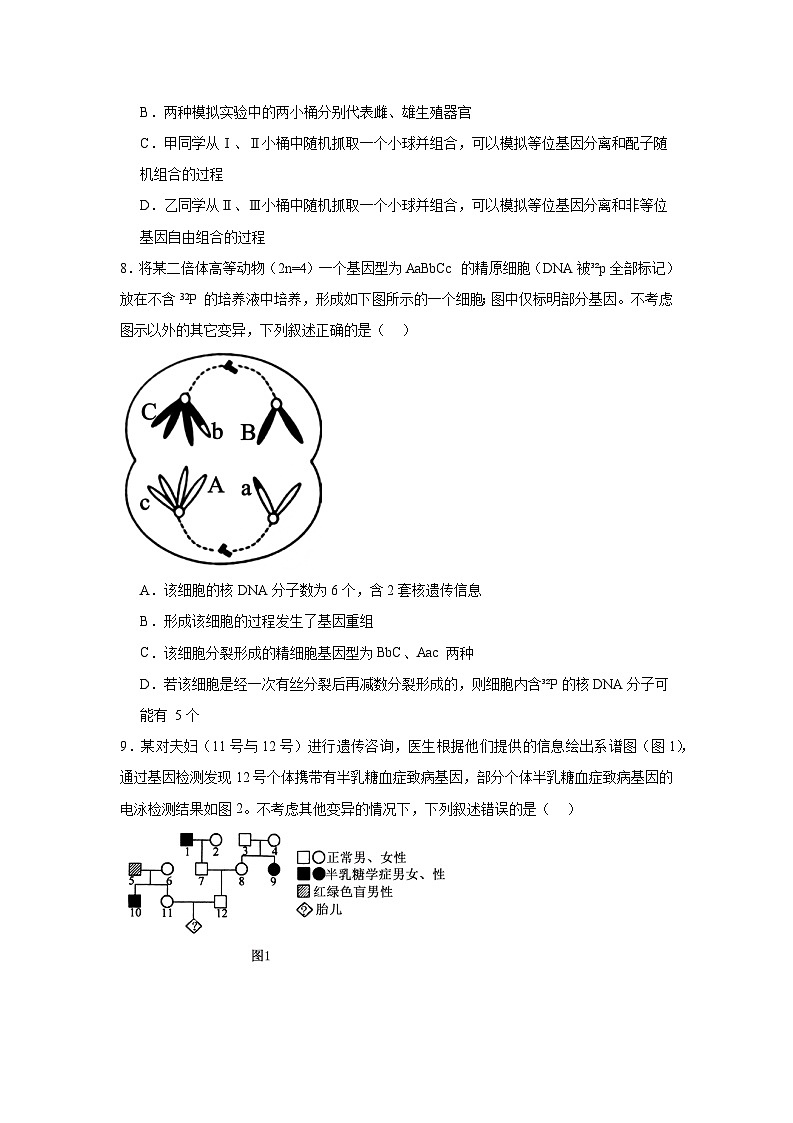安徽省六安市第二中学2024-2025学年高三上学期12月月考 生物试题（含解析）第3页