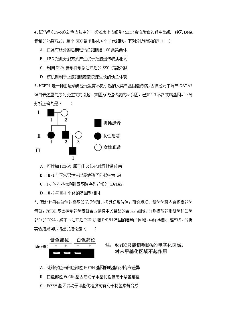 北京市第二中学2024-2025学年高三上学期12月月考 生物试卷（含解析）第2页