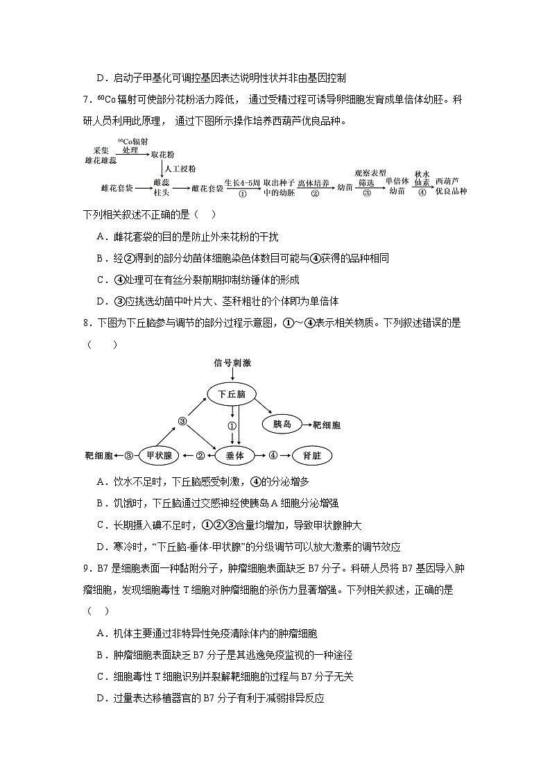 北京市第二中学2024-2025学年高三上学期12月月考 生物试卷（含解析）第3页