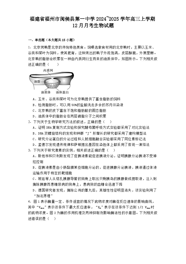 福建省福州市闽侯县第一中学2024_2025学年高三上学期12月月考 生物试题（含解析）第1页