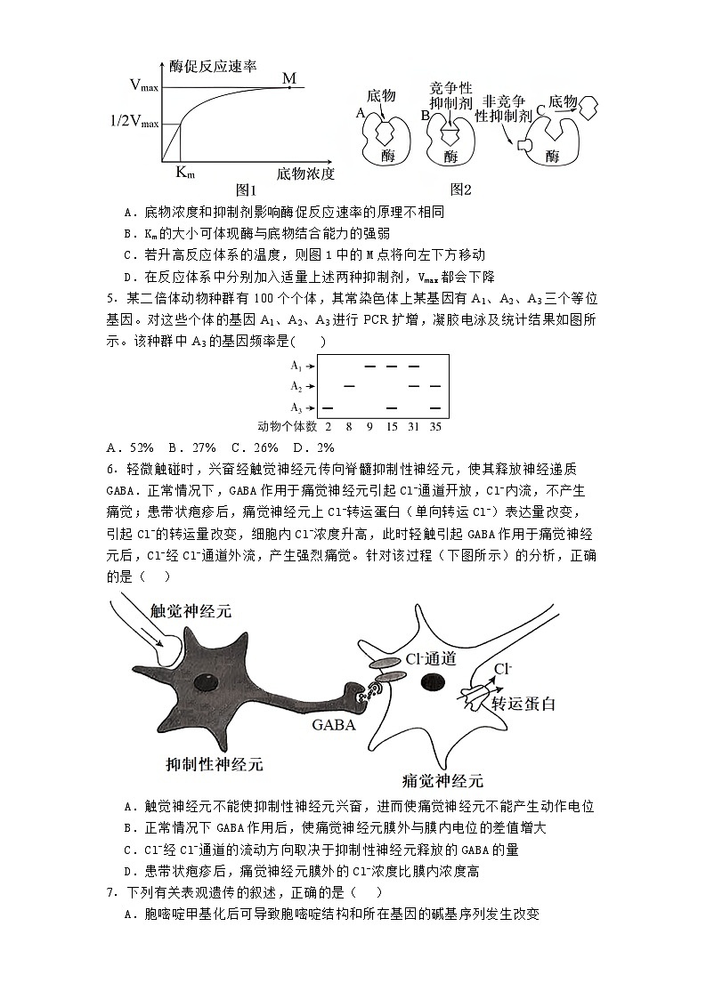 福建省福州市闽侯县第一中学2024_2025学年高三上学期12月月考 生物试题（含解析）第2页