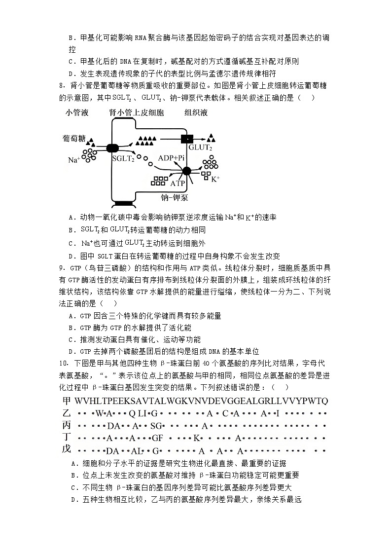 福建省福州市闽侯县第一中学2024_2025学年高三上学期12月月考 生物试题（含解析）第3页