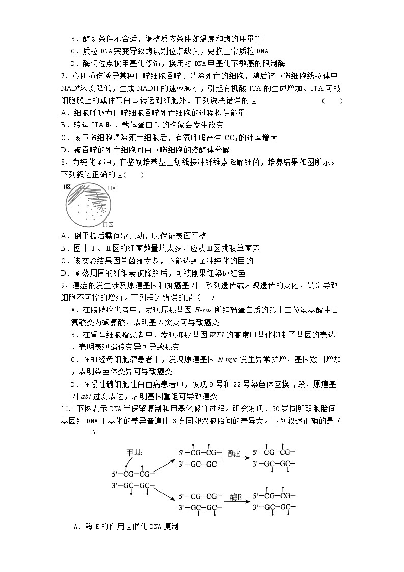 福建省厦门外国语学校2024-2025学年高三上学期11月阶段考试 生物试题（含解析）第2页