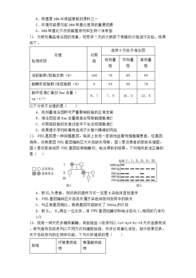 福建省厦门外国语学校2024-2025学年高三上学期11月阶段考试 生物试题（含解析）第3页