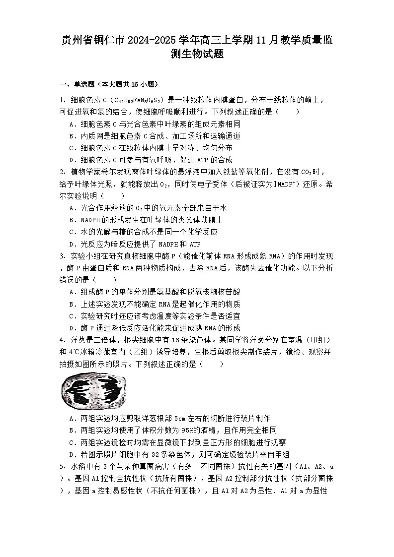 贵州省铜仁市2024-2025学年高三上学期11月教学质量监测 生物试题（含解析）第1页