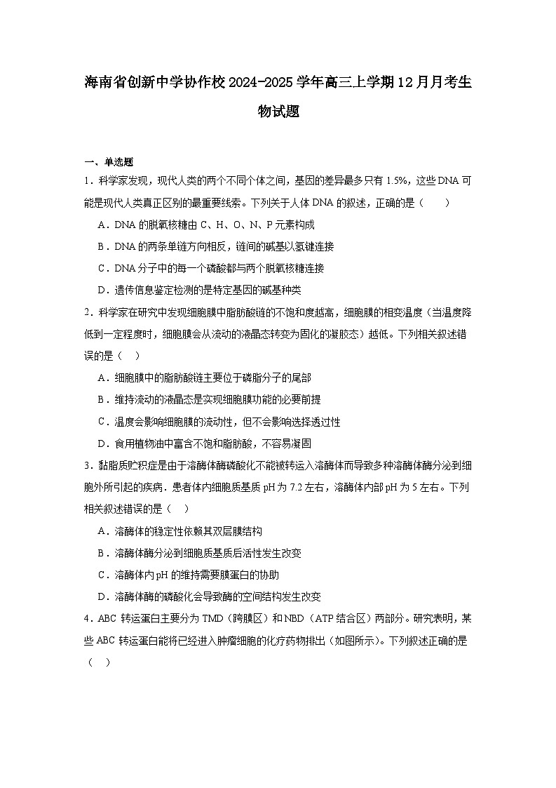 海南省创新中学协作校2024-2025学年高三上学期12月月考 生物试题（含解析）第1页