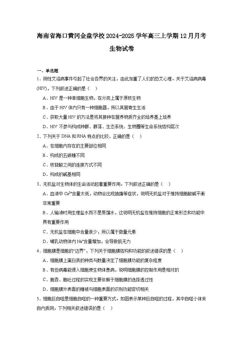海南省海口黄冈金盘学校2024-2025学年高三上学期12月月考 生物试卷（含解析）第1页