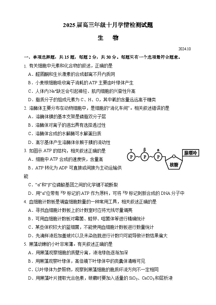 江苏省淮阴中学2024-2025学年高三上学期10月学情检测 生物试卷第1页