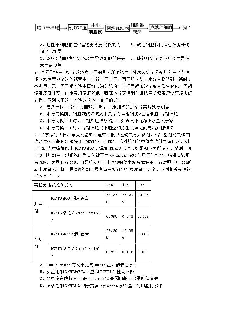 山西省长治市2024-2025学年高三上学期11月月考 生物试题（含解析）第3页