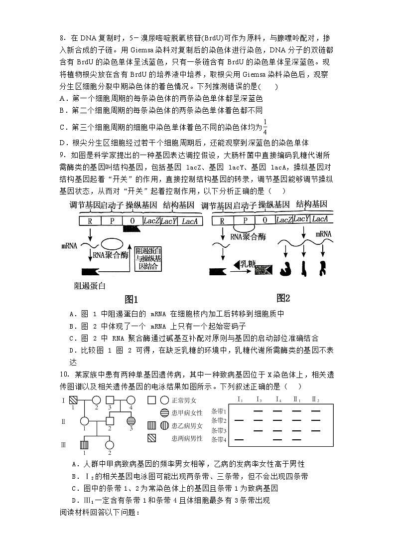 天津市南开中学2024-2025学年高三上学期第二次月考 生物试题（含解析）第3页