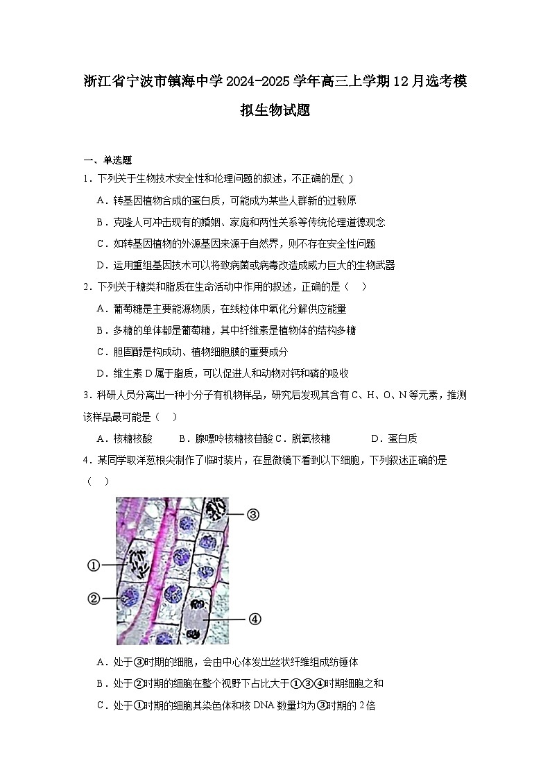 浙江省宁波市镇海中学2024-2025学年高三上学期12月选考模拟 生物试题（含解析）第1页