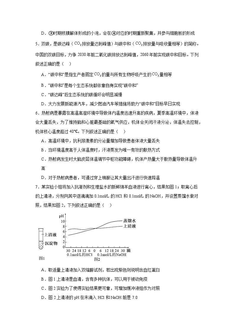 浙江省宁波市镇海中学2024-2025学年高三上学期12月选考模拟 生物试题（含解析）第2页