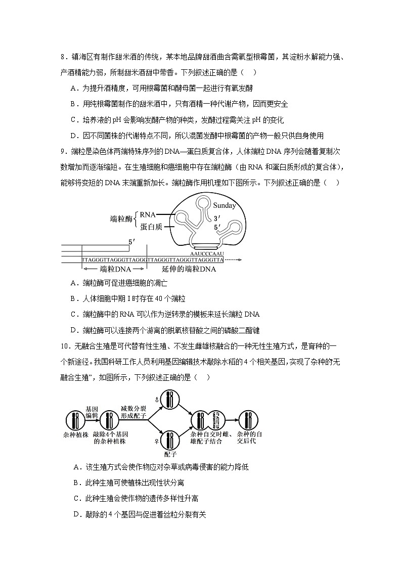 浙江省宁波市镇海中学2024-2025学年高三上学期12月选考模拟 生物试题（含解析）第3页