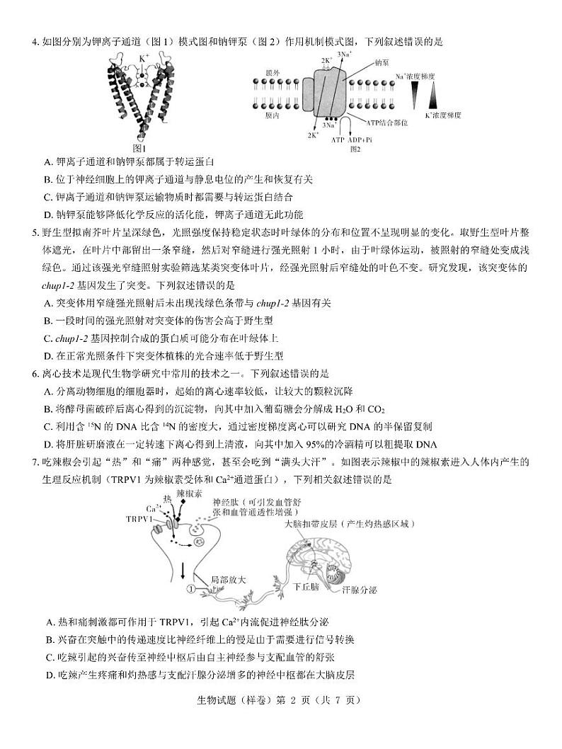 名校教研联盟2025届高考仿真模拟卷-生物试题+答案第2页