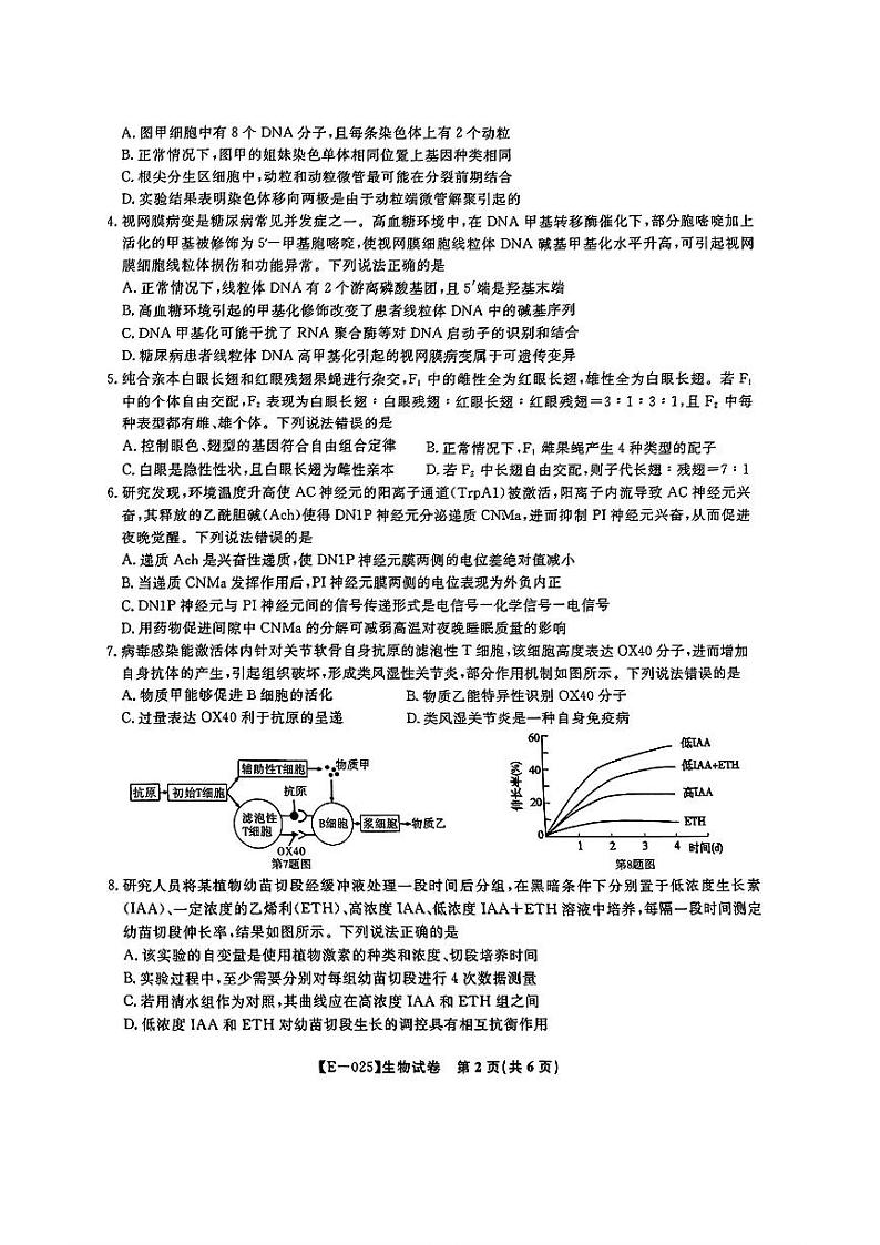 安徽省皖江名校联盟2025届高三下学期2月联考-生物试卷+答案第2页