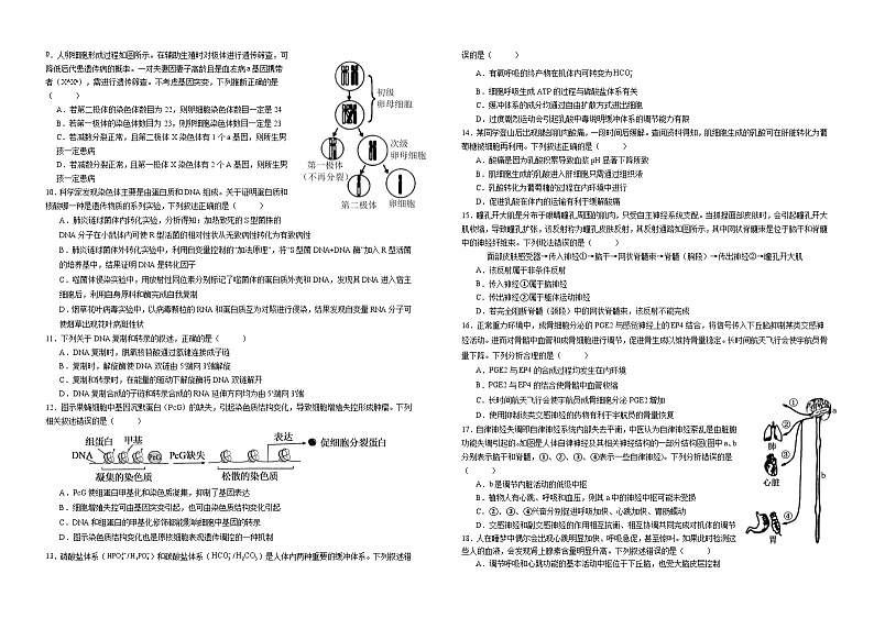 云南省昆明市呈贡区西联学校昆明西南联大研究院附属学校2024-2025学年高二上学期10月月考生物试卷第2页