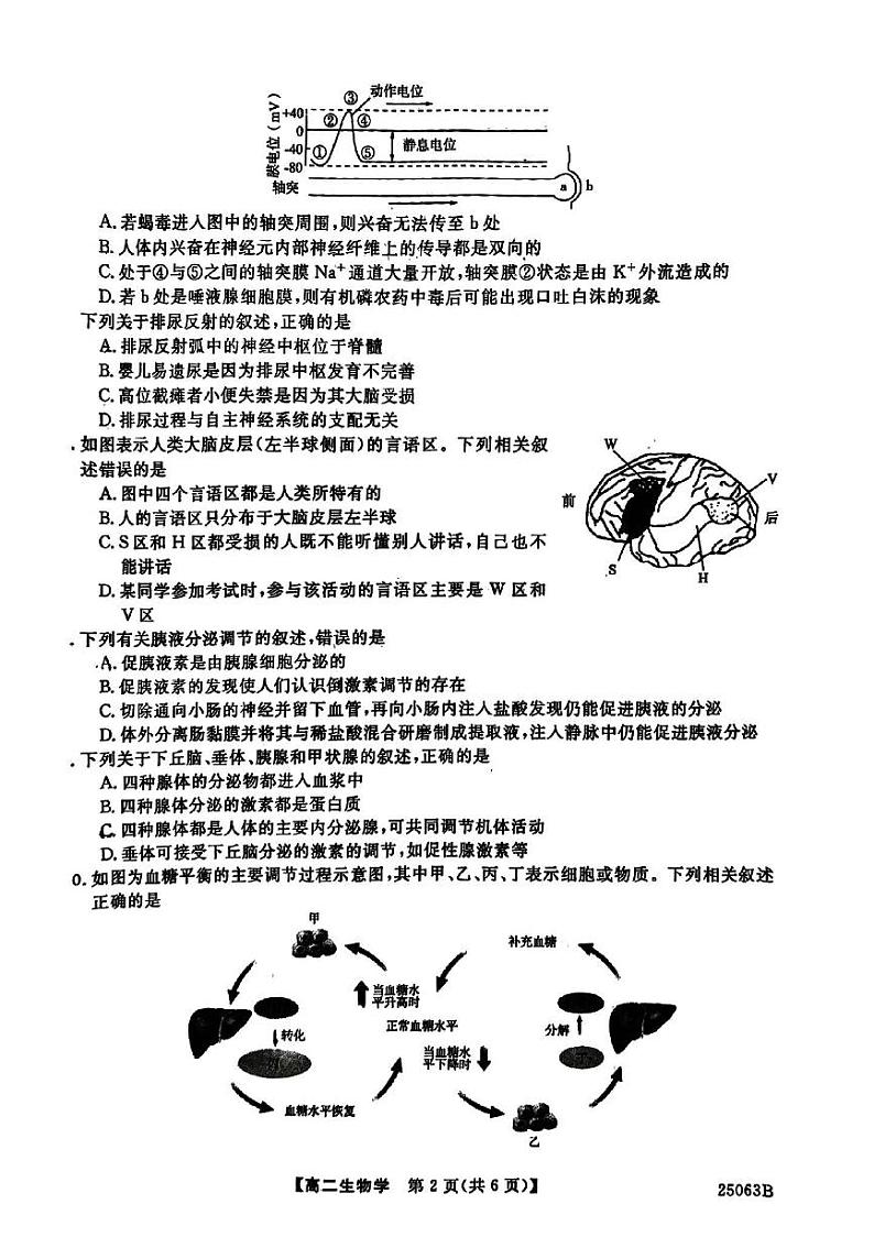 甘肃省武威市天祝藏族自治县第一中学2024-2025学年高二上学期10月月考生物试题第2页