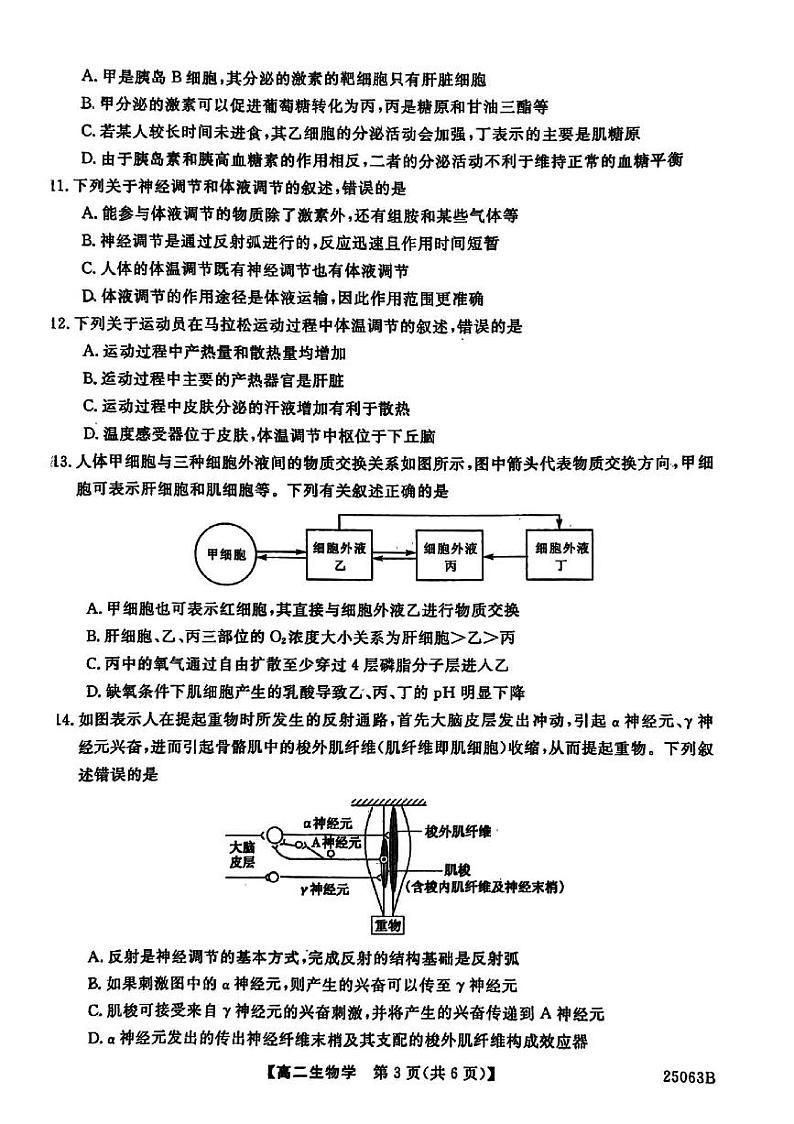 甘肃省武威市天祝藏族自治县第一中学2024-2025学年高二上学期10月月考生物试题第3页