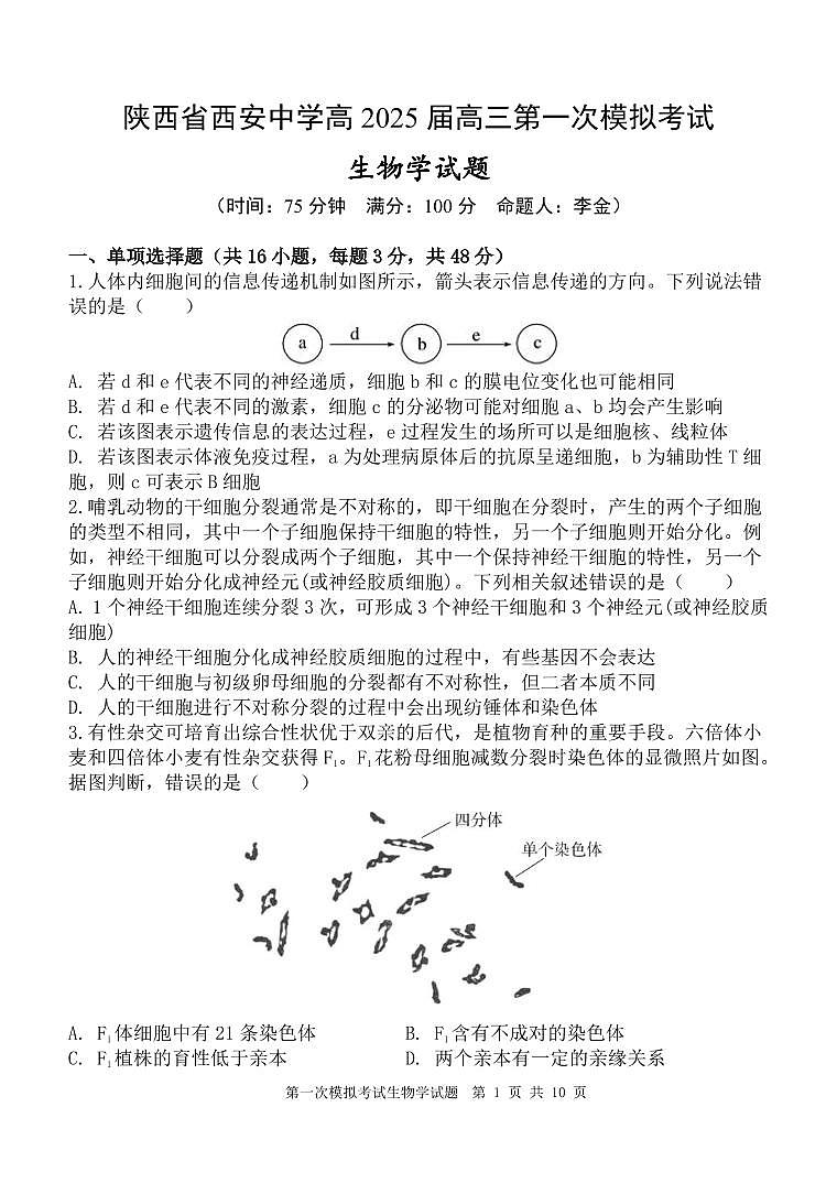 陕西省西安中学2025届高三下学期高考第一次模拟考试生物试题无答案第1页