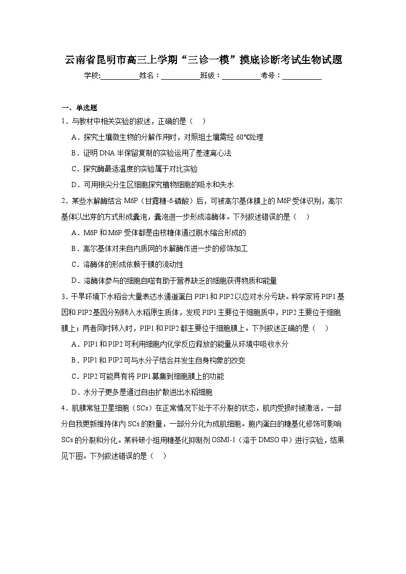2024-2025学年云南省昆明市高三上学期“三诊一模”摸底诊断考试生物试题第1页