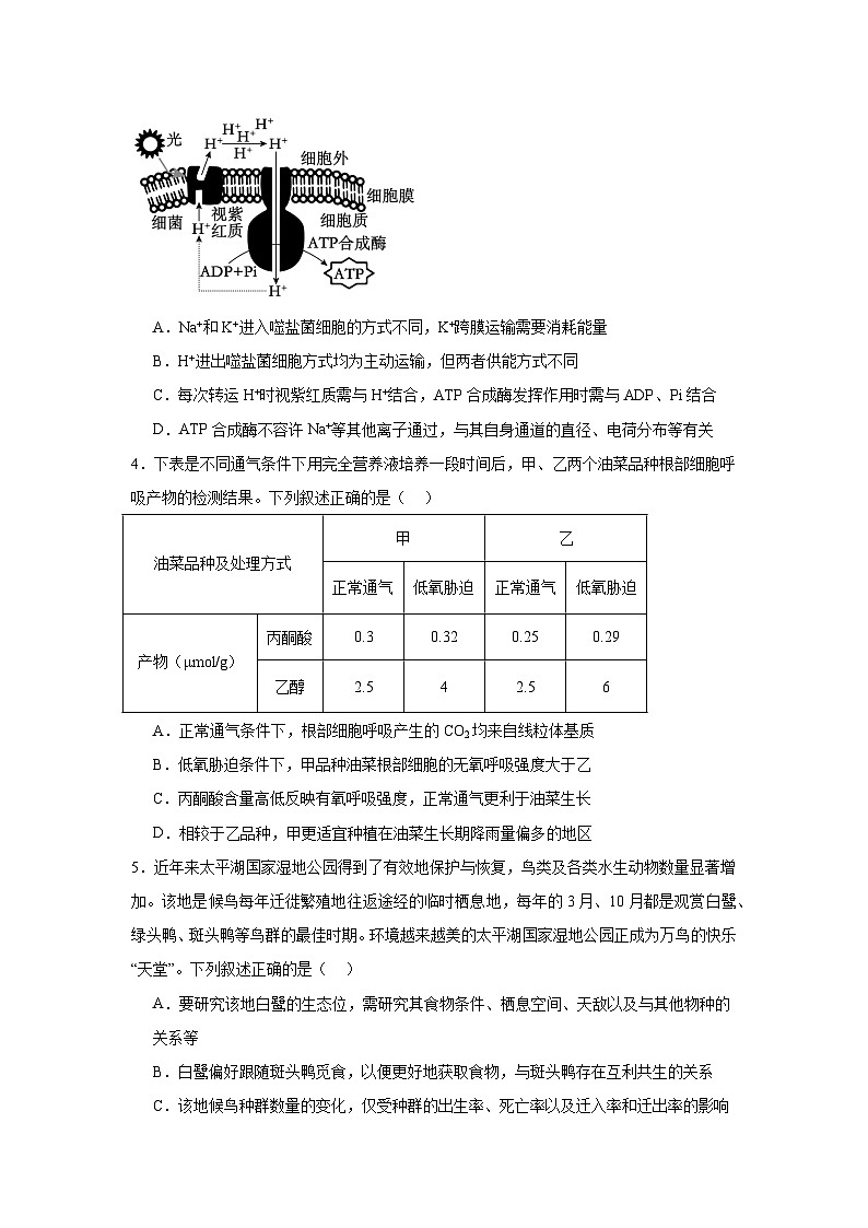2025届安徽省黄山市高中毕业班第一次质量检测生物试题第2页